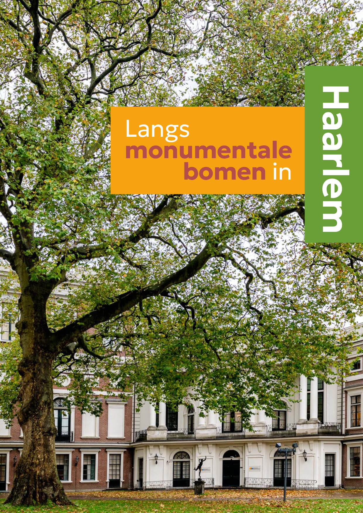 Langs monumentale bomen Amsterdam